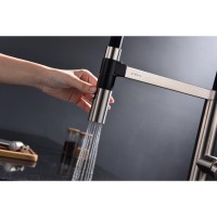 Смеситель для кухни Paulmark Leader Le214101-NI Никель