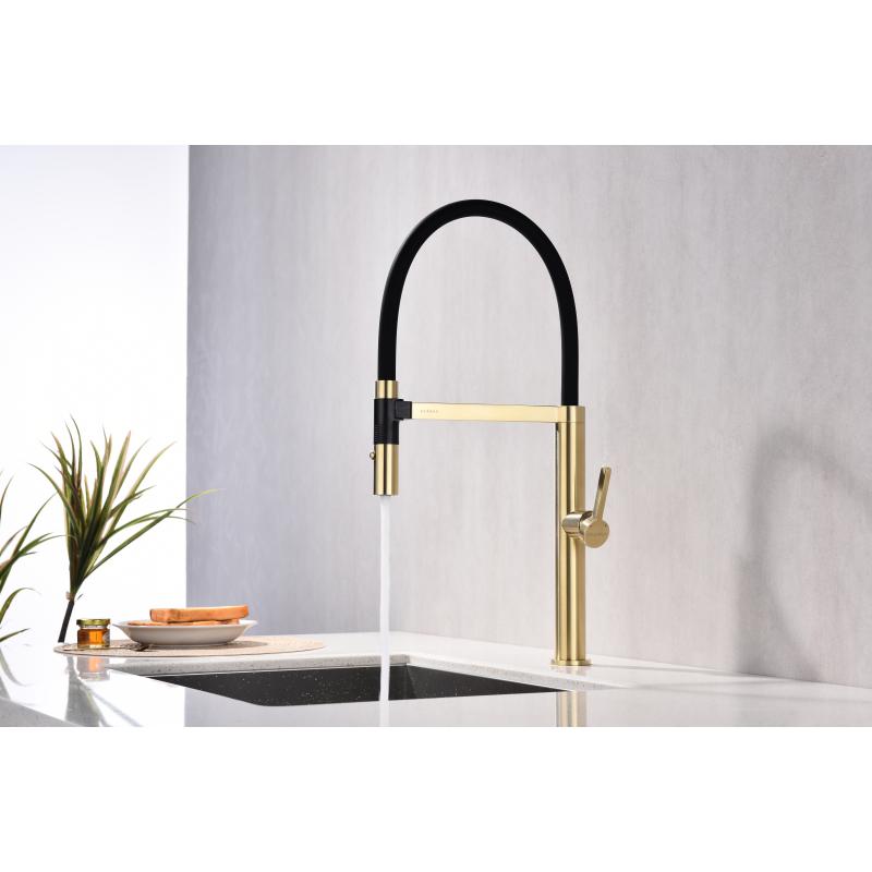 Смеситель для кухни Paulmark Leader Le214101-SBG Светлое брашированное золото