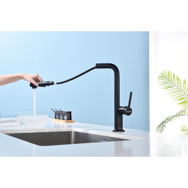 Смеситель для кухни Paulmark Neo Ne214419-401 Антрацит