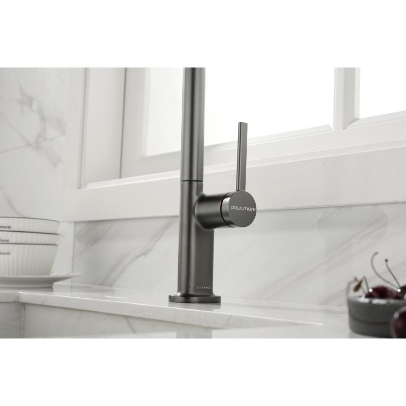 Смеситель для кухни Paulmark Neo Ne214419-B Беретта