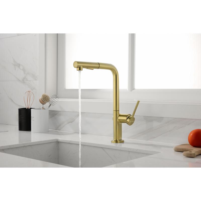 Смеситель для кухни Paulmark Neo Ne214419-BG Брашированное золото