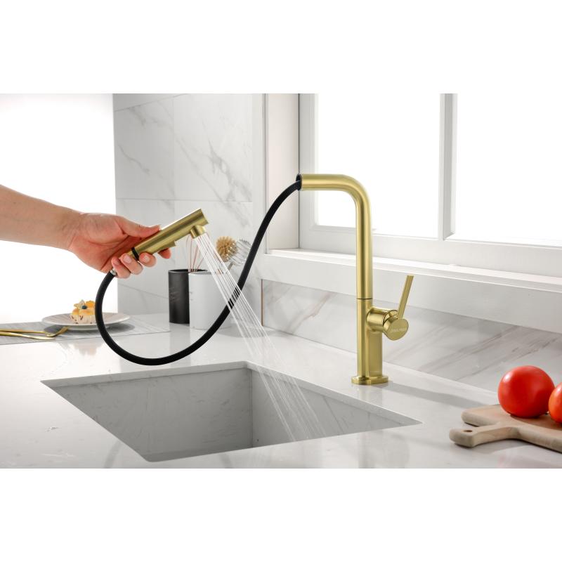 Смеситель для кухни Paulmark Neo Ne214419-BG Брашированное золото