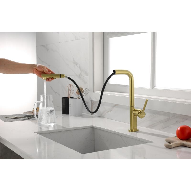 Смеситель для кухни Paulmark Neo Ne214419-BG Брашированное золото