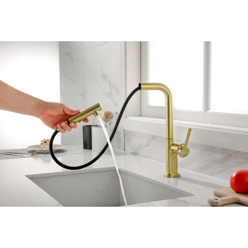 Смеситель для кухни Paulmark Neo Ne214419-BG Брашированное золото