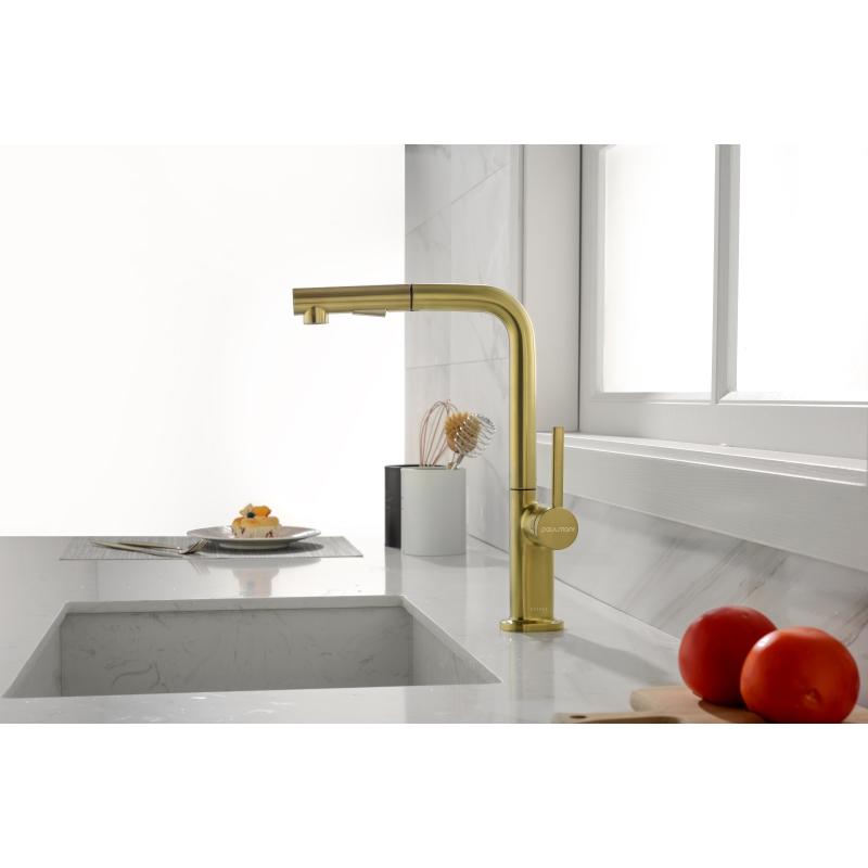 Смеситель для кухни Paulmark Neo Ne214419-BG Брашированное золото