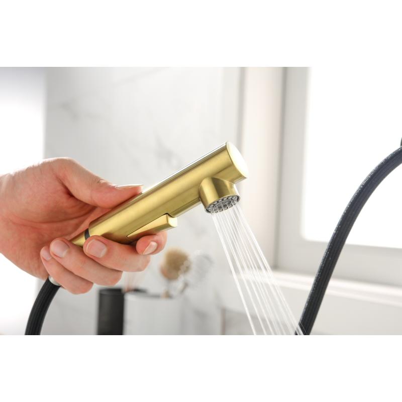 Смеситель для кухни Paulmark Neo Ne214419-BG Брашированное золото