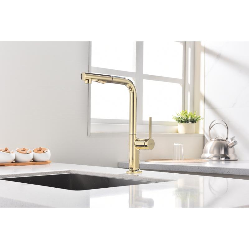 Смеситель для кухни Paulmark Neo Ne214419-G Золото