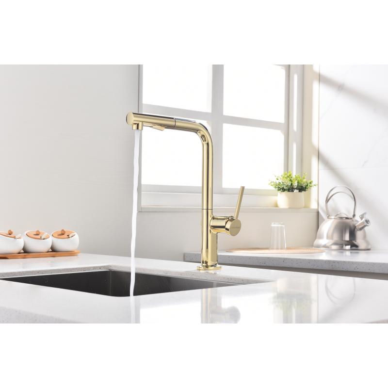 Смеситель для кухни Paulmark Neo Ne214419-G Золото