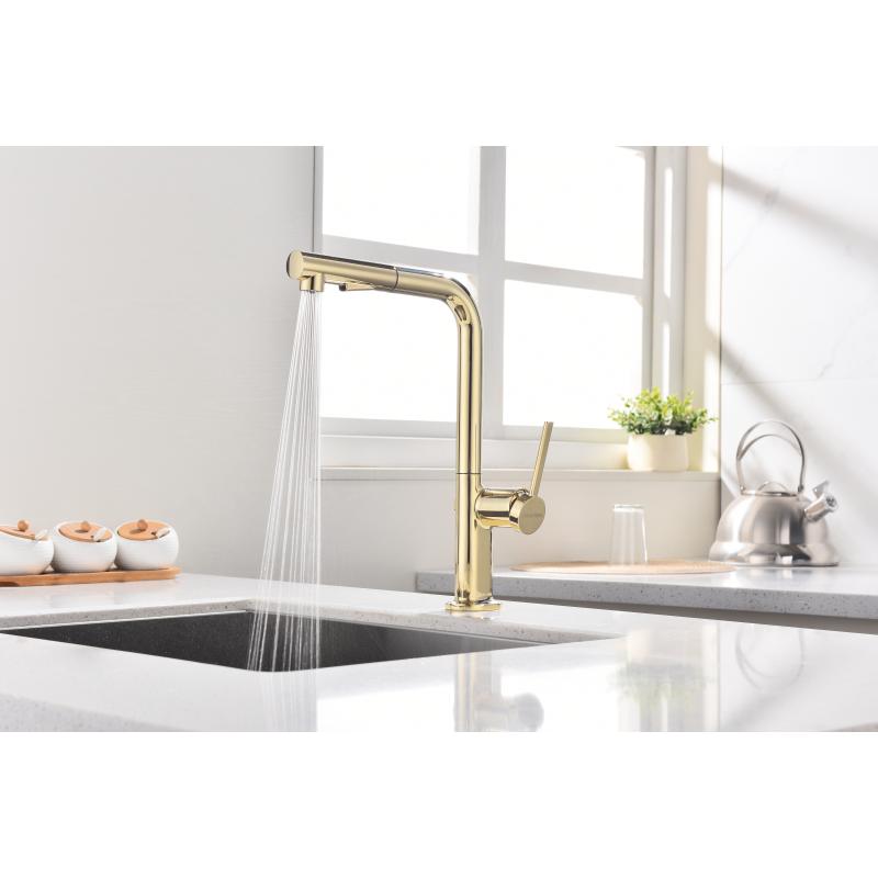 Смеситель для кухни Paulmark Neo Ne214419-G Золото