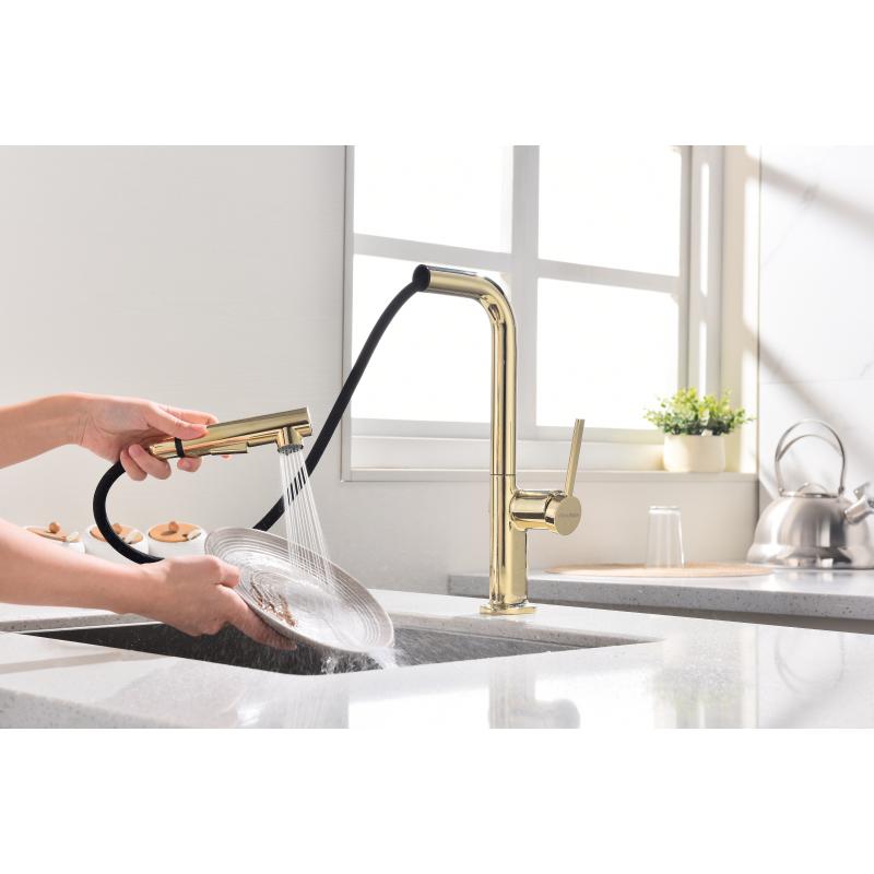 Смеситель для кухни Paulmark Neo Ne214419-G Золото