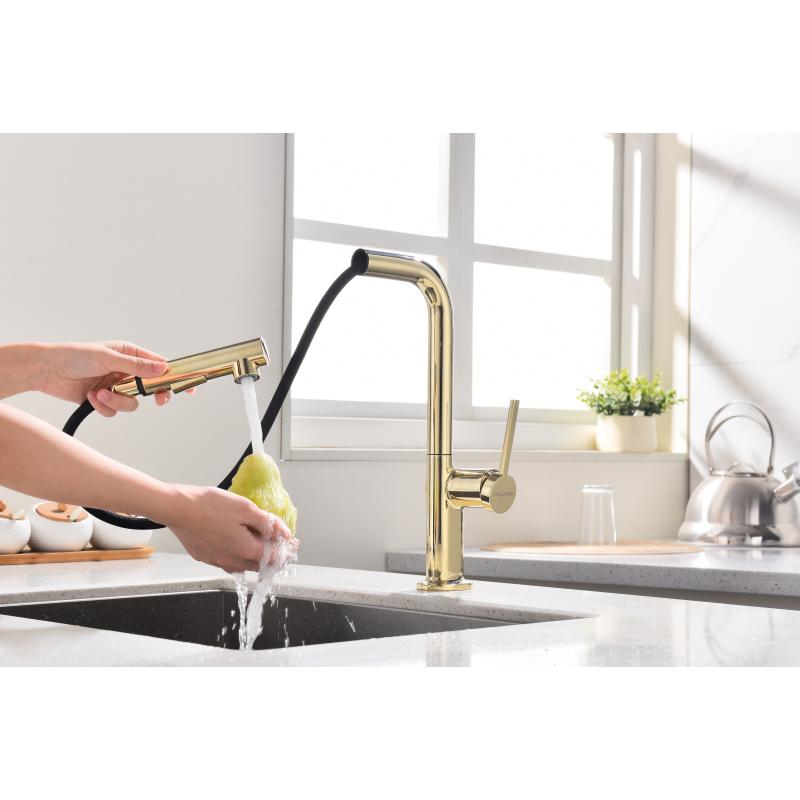 Смеситель для кухни Paulmark Neo Ne214419-G Золото