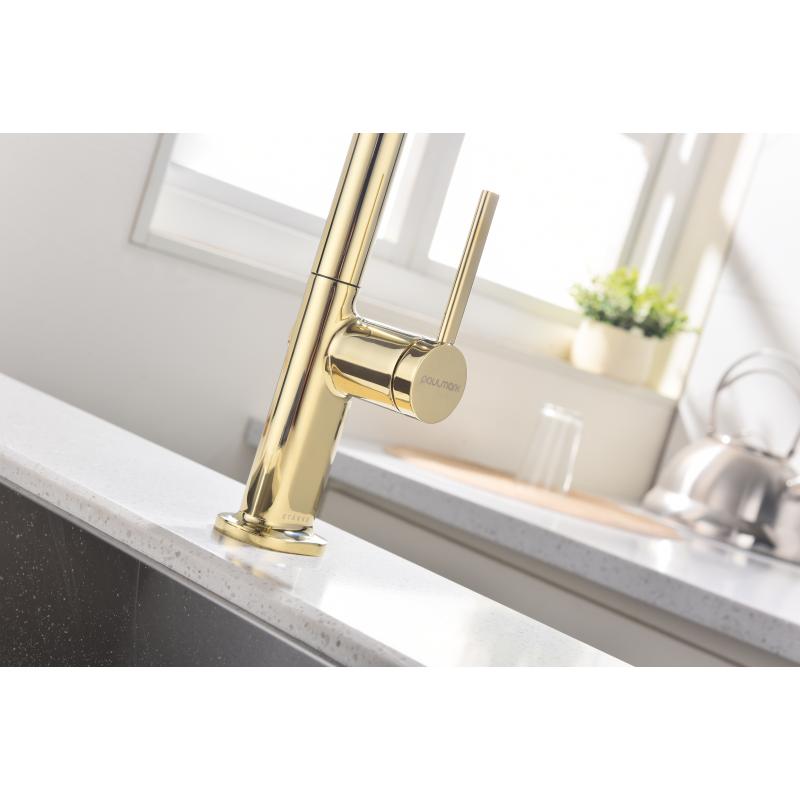 Смеситель для кухни Paulmark Neo Ne214419-G Золото