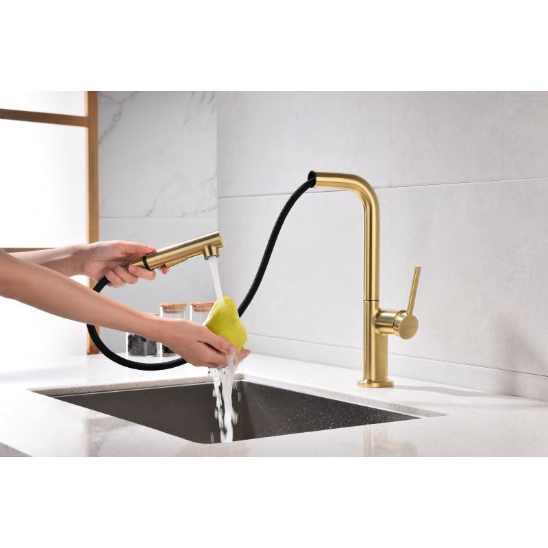 Смеситель для кухни Paulmark Neo Ne214419-SBG Светлое брашированное золото