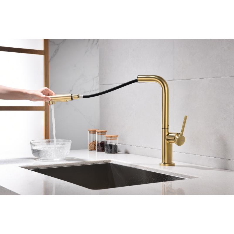 Смеситель для кухни Paulmark Neo Ne214419-SBG Светлое брашированное золото