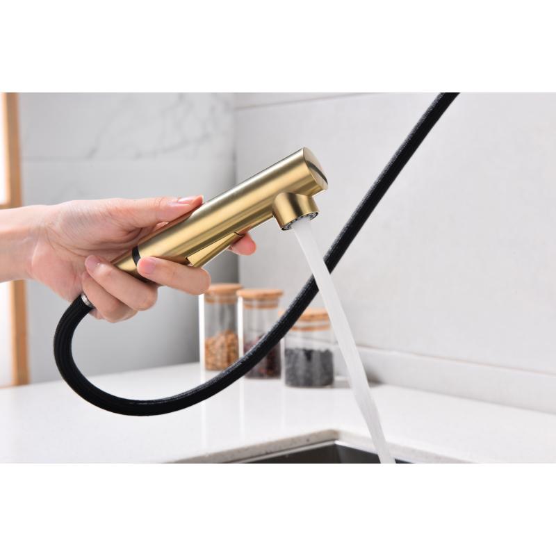 Смеситель для кухни Paulmark Neo Ne214419-SBG Светлое брашированное золото