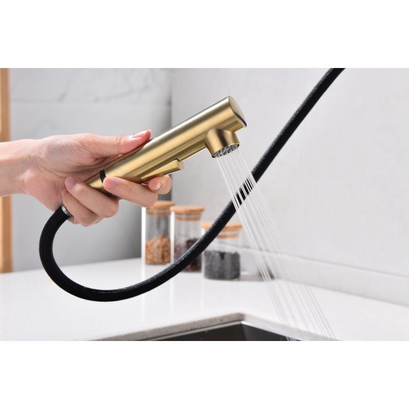 Смеситель для кухни Paulmark Neo Ne214419-SBG Светлое брашированное золото