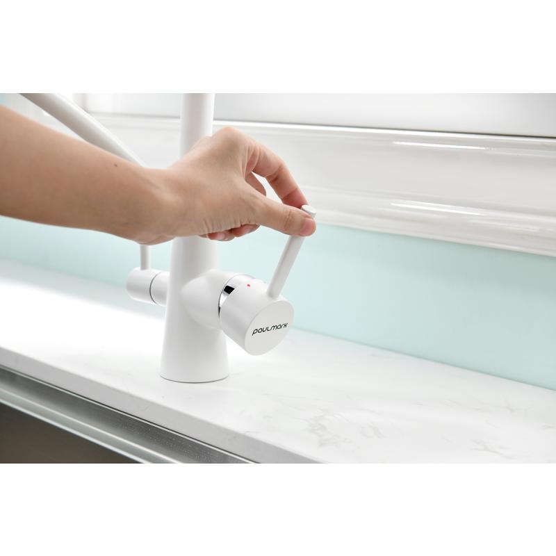 Смеситель для кухни Paulmark Siegen Si213111-431TW Белый