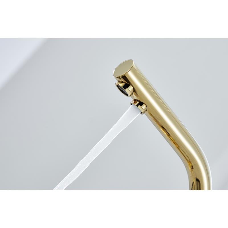 Смеситель для кухни Paulmark Essen Es213011-G Золото