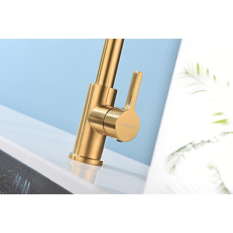 Смеситель для кухни Paulmark Halt Ha214021-BG Брашированное золото