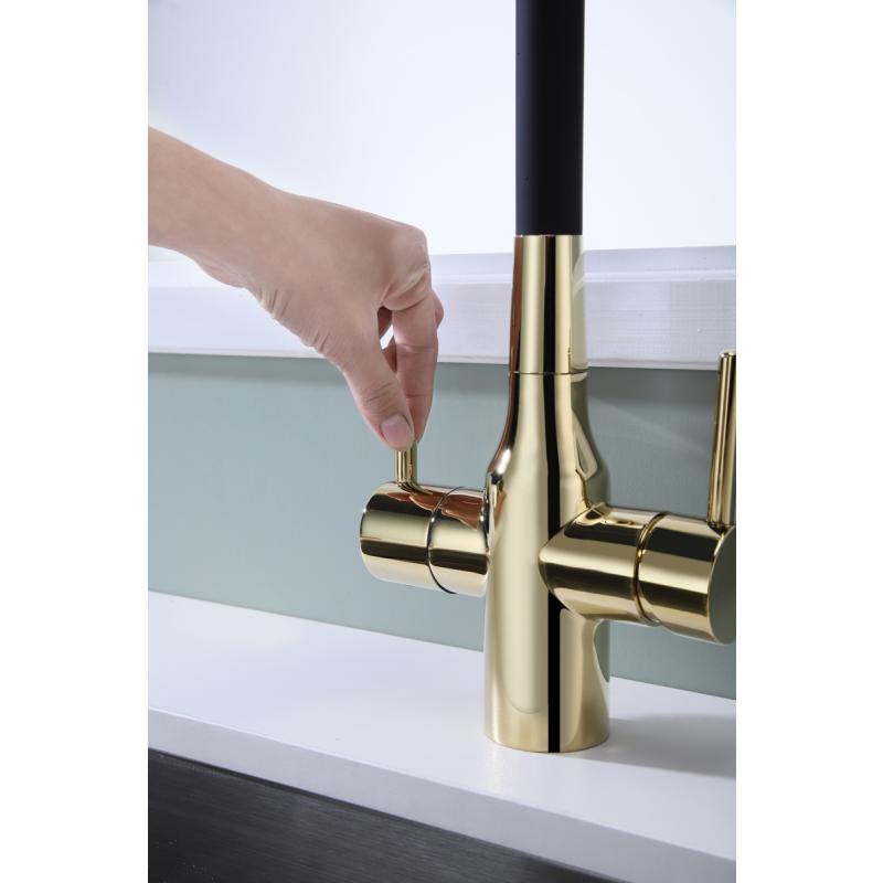 Смеситель для кухни Paulmark Salix Sa213419-G Золото