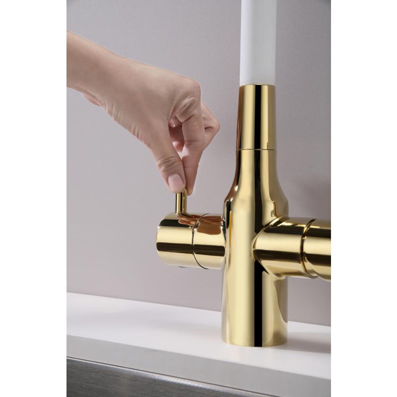 Смеситель для кухни Paulmark Salix Sa213419-Gw Золото Белый