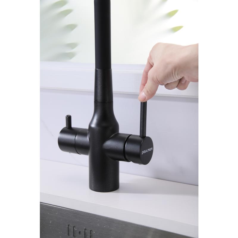 Смеситель для кухни Paulmark Salix Sa213419-418 Черный металлик