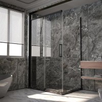 Душевой уголок Veconi Premium Trento PTC40-SP-14090-B-01-C4, 140 x 90 см, стекло прозрачное, профиль черный матовый