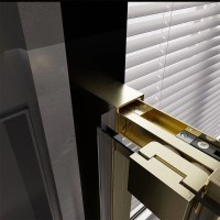 Душевая дверь Veconi Premium Trento PTD30-G-120-01-C4, 120 см, стекло прозрачное, профиль золото брашированное