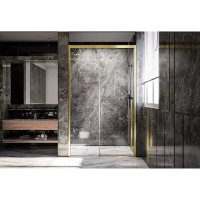 Душевая дверь Veconi Premium Trento PTD30-G-120-01-C4, 120 см, стекло прозрачное, профиль золото брашированное