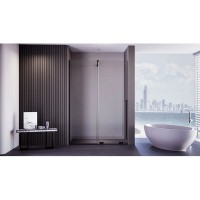 Душевая дверь Veconi Premium Trento PTDW-50B-100-01-C4, 100 см, стекло прозрачное, профиль черный матовый