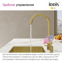 Смеситель для кухонной мойки Iddis Pure PURMGFJi05, PVD-покрытие, с каналом для фильтрованной воды, золото матовое