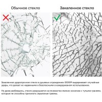Душевая дверь Iddis Ray 110 x 195 см распашная, стекло прозрачное, хром, RAY6CP1i69