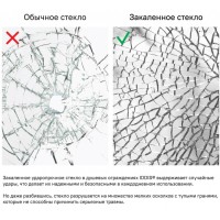 Душевая дверь Iddis Ray 120 x 195 см распашная, стекло прозрачное, хром, RAY6CP2i69
