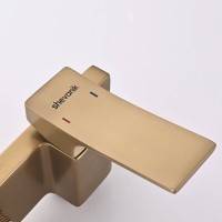 Гигиенический душ Shevanik S6105G-1, со смесителем, цвет золотой сатин