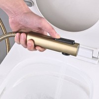 Гигиенический душ Shevanik S6105G-1, со смесителем, цвет золотой сатин