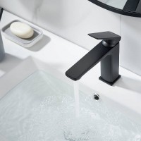 Смеситель для раковины Shevanik S8901H-1, цвет черный матовый