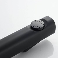Гигиенический душ Shevanik S9605H-1, со смесителем, цвет черный матовый