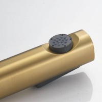 Гигиенический душ Shevanik S9905G-1, со смесителем, цвет золотой сатин