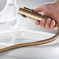 Гигиенический душ Shevanik S9905G-1, со смесителем, цвет золотой сатин