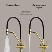 Смеситель для кухонной мойки Sancos Dora SC4003BG, с подключением к фильтру, с гибким изливом, цвет золото брашированное, PVD покрытие