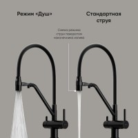 Смеситель для кухонной мойки Sancos Dora SC4003MB, с подключением к фильтру, с гибким изливом, цвет черный матовый