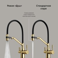 Смеситель для кухонной мойки Sancos Orta SC4008BG, с подключением к фильтру, с гибким изливом, цвет золото брашированное, PVD покрытие