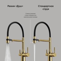 Смеситель для кухонной мойки Sancos Garda SC4009BG, с подключением к фильтру, с гибким изливом, цвет золото брашированное, PVD покрытие