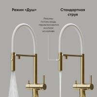 Смеситель для кухонной мойки Sancos Imola SC4010BG, с подключением к фильтру, с гибким изливом, цвет золото брашированное, PVD покрытие