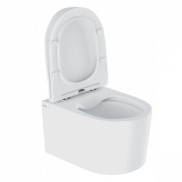 Подвесной унитаз Iddis Stone STORDSEi25 37 x 49 x 34 см безободковый, с сиденьем Soft Close