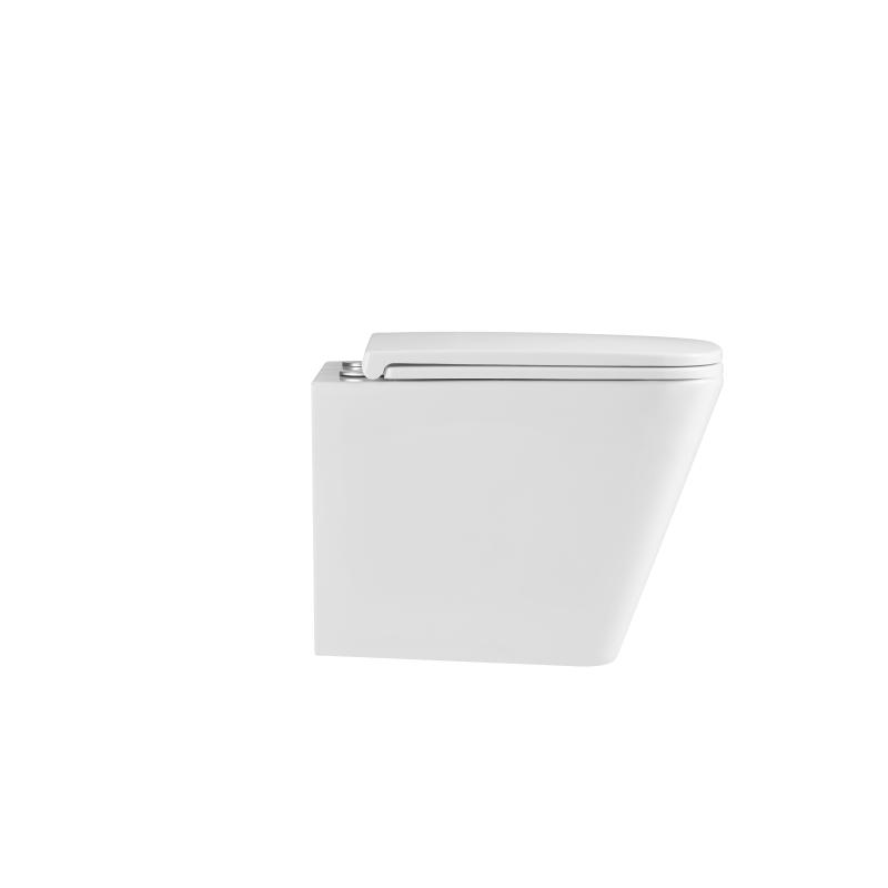 Подвесной унитаз Terminus Ватикан, 03W49x34W, безободковый, крышка-сиденье микролифт, белый