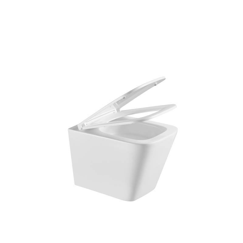 Подвесной унитаз Terminus Ватикан, 03W49x34W, безободковый, крышка-сиденье микролифт, белый