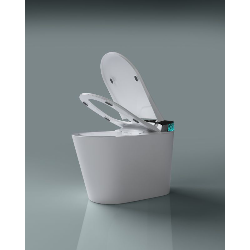 Унитаз биде Timo TE-741B с сиденьем Микролифт