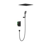 Душевая система Timo Selene SX-2029/03SM Черный