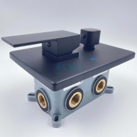 Душевая система ALMAes Elbe TVZ-0811, с изливом, цвет черный матовый
